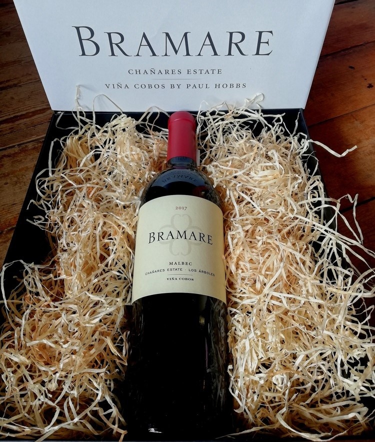 'The most exciting Argentine wine of 2020'